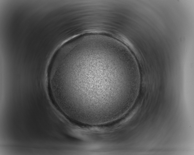 X0000088870787200706151753