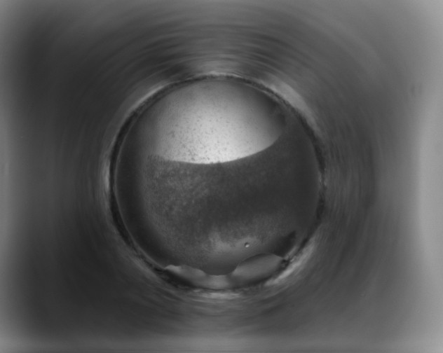X0000088870790200706151752