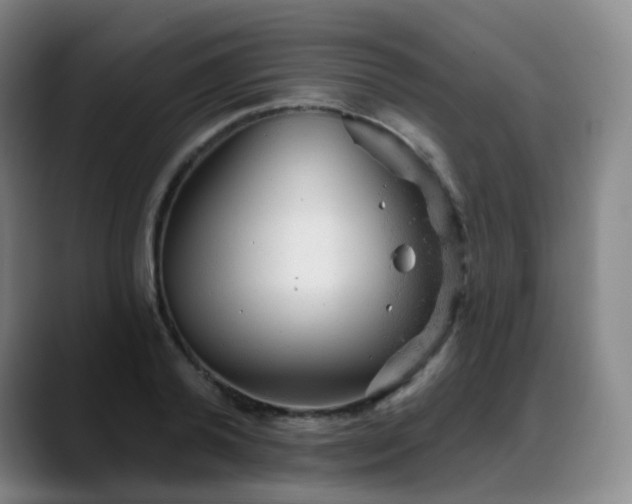 X0000088870792200706151752