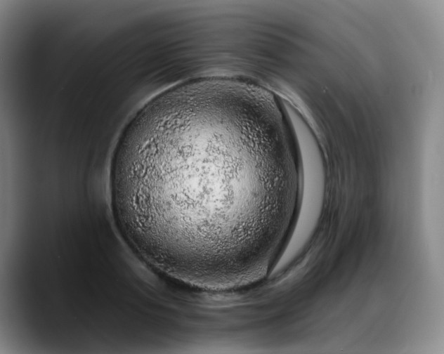 X0000088870795200706151752