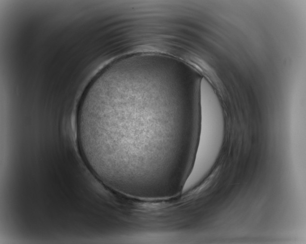X0000088870796200706151752
