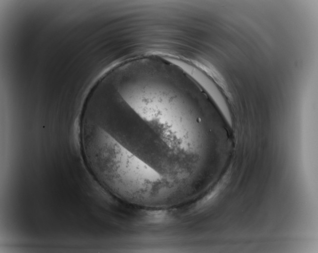 X0000088870798200706151752