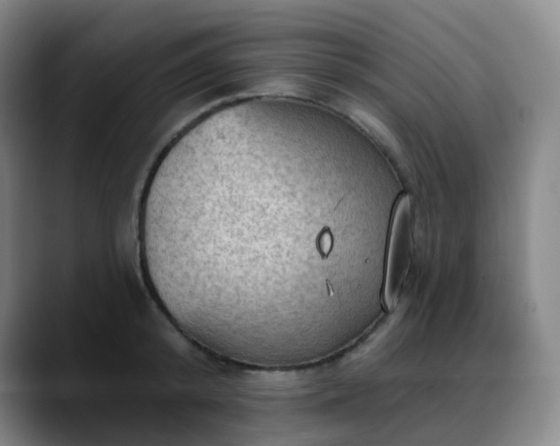 X0000088870800200706151752