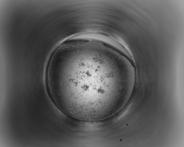 X0000088870803200706151752