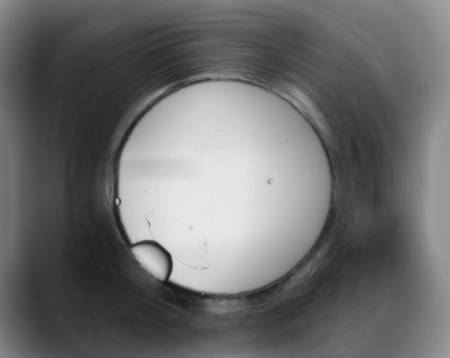 X0000088870804200706151752