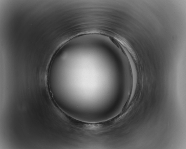 X0000088870805200706151752