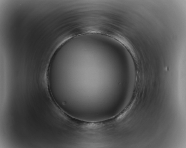 X0000088870806200706151752
