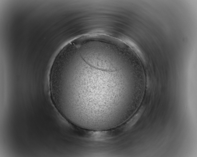 X0000088870808200706151752