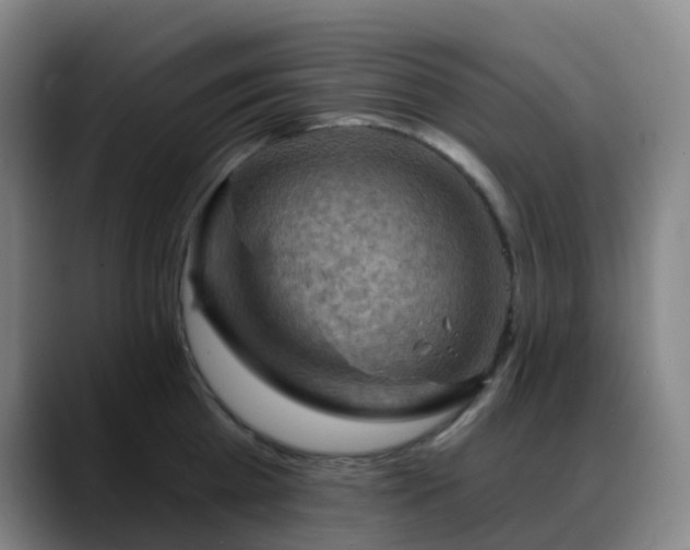 X0000088870809200706151752