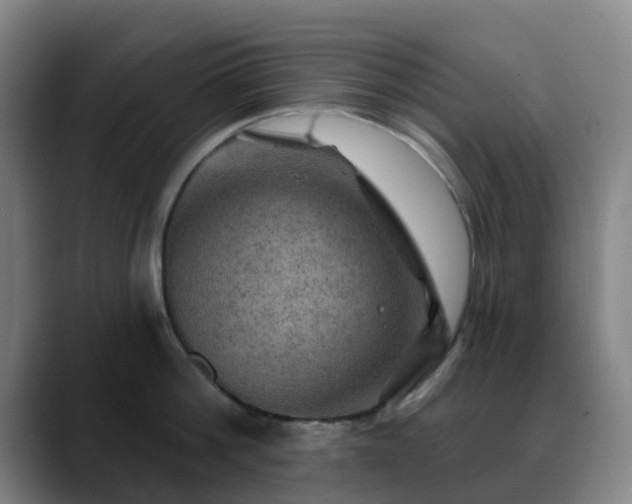 X0000088870812200706151752