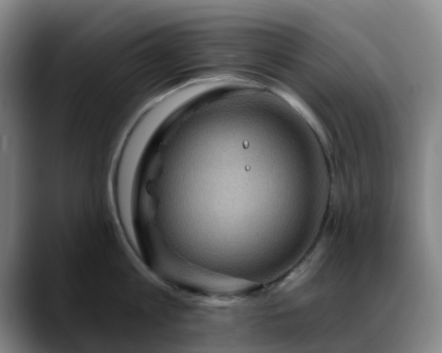 X0000088870813200706151752