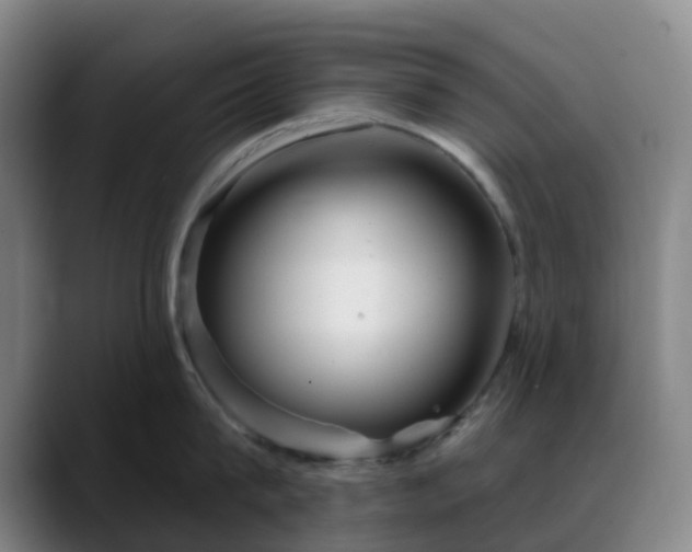 X0000088870815200706151752