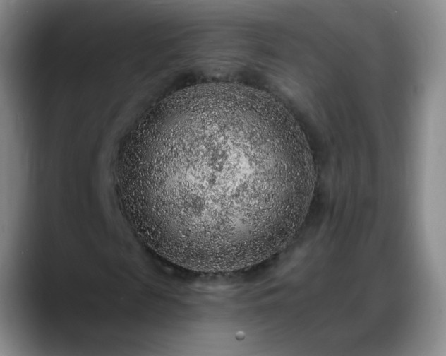 X0000088870817200706151752