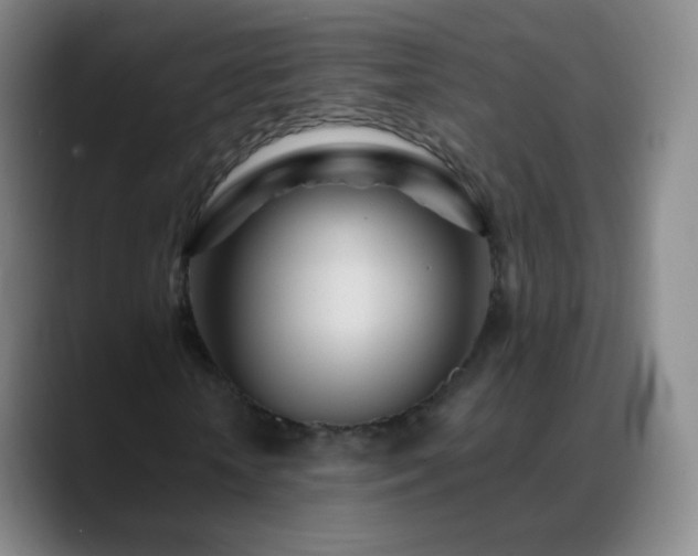 X0000088870818200706151752