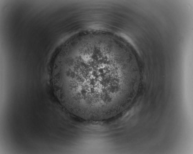 X0000088870823200706151752