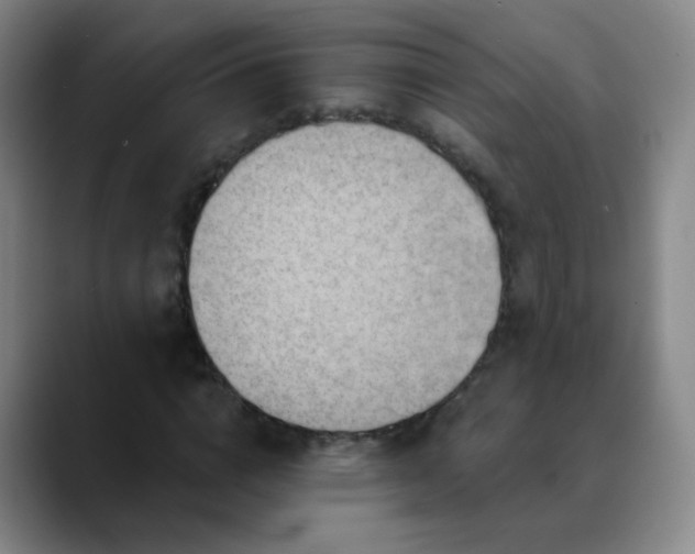 X0000088870824200706151752
