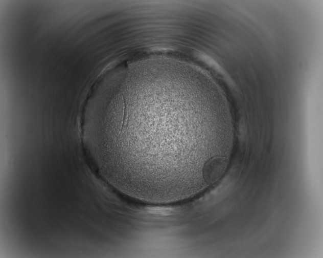 X0000088870825200706151752