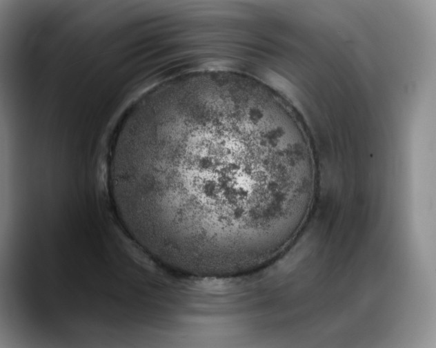 X0000088870827200706151752