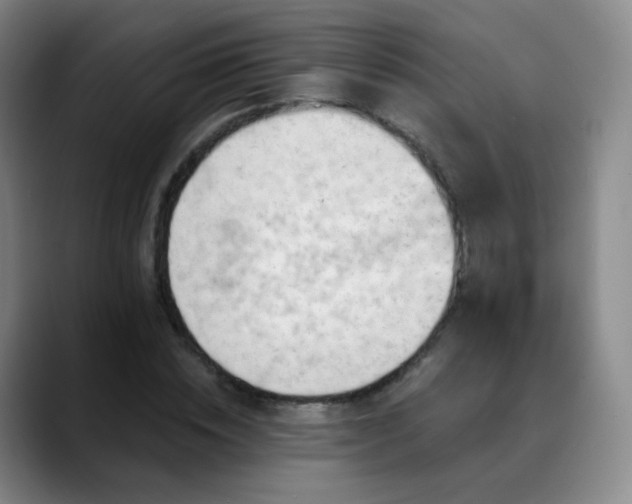 X0000088870828200706151752