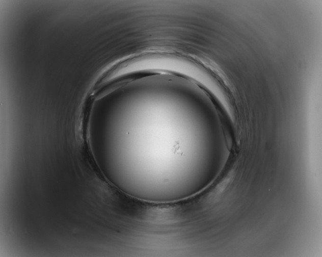 X0000088870830200706151752