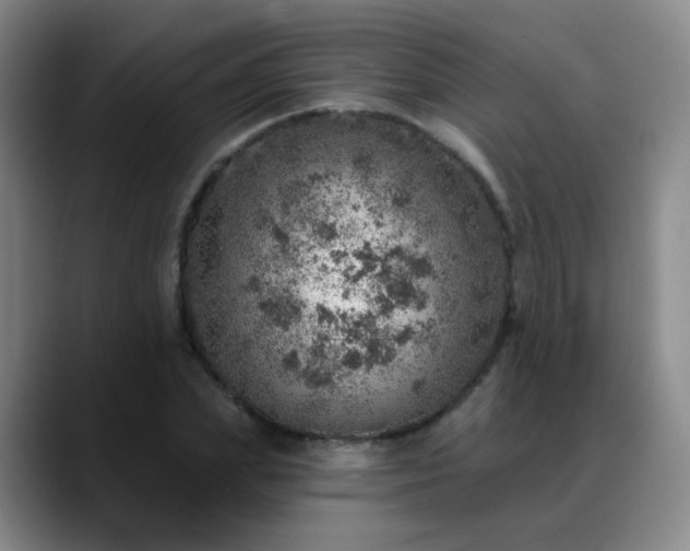 X0000088870831200706151752