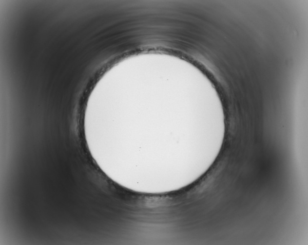 X0000088870832200706151752