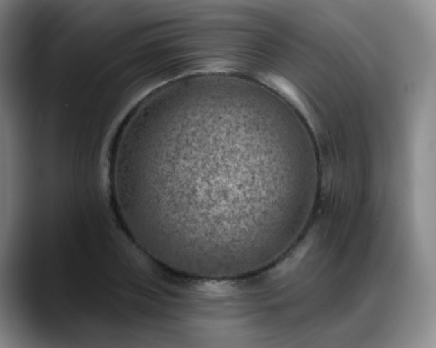 X0000088870835200706151752