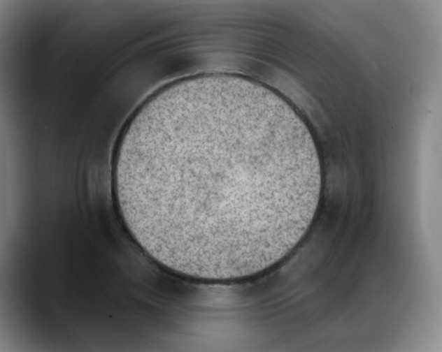 X0000088870836200706151752