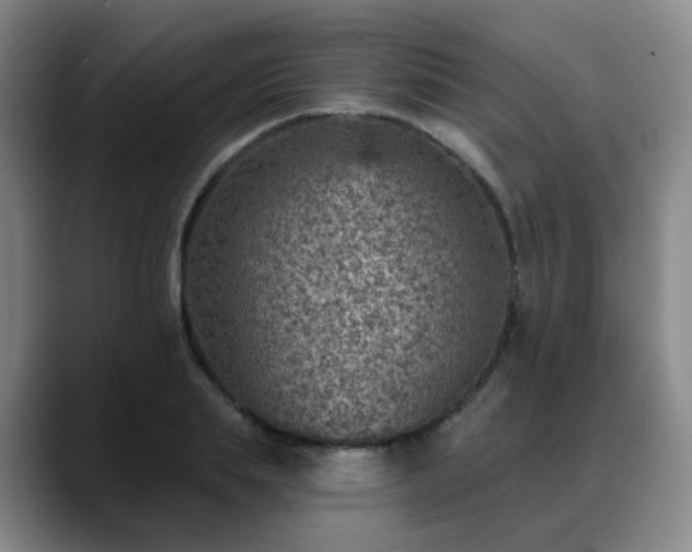 X0000088870839200706151752