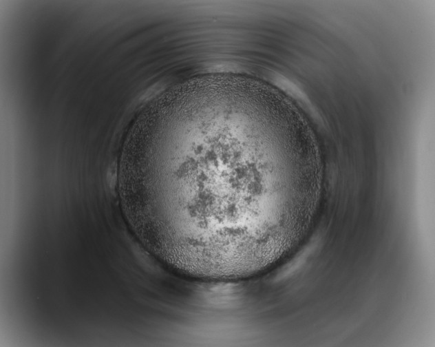 X0000088870841200706151752