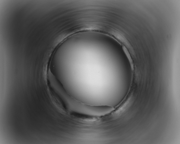 X0000088870842200706151752