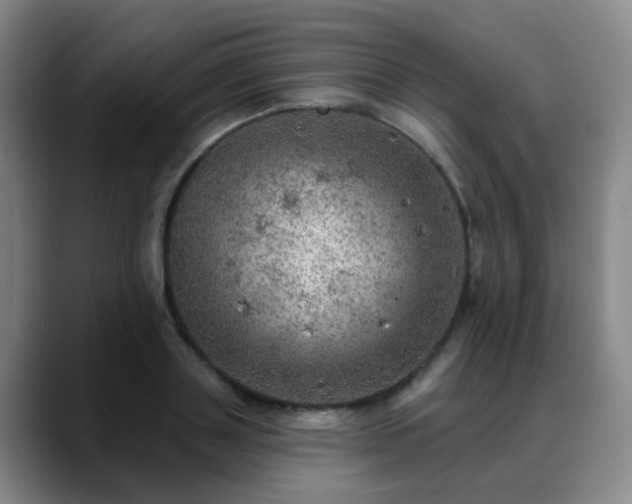X0000088870843200706151752
