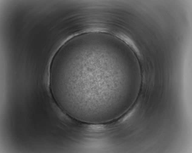 X0000088870844200706151752