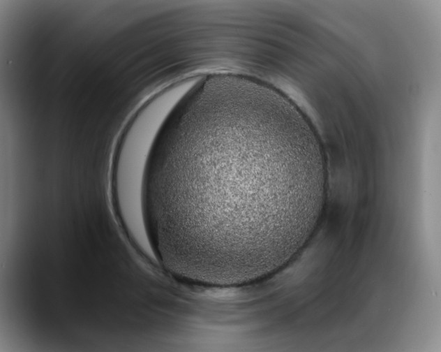 X0000088870845200706151752