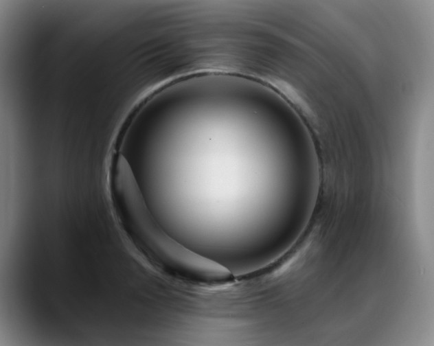 X0000088870846200706151752