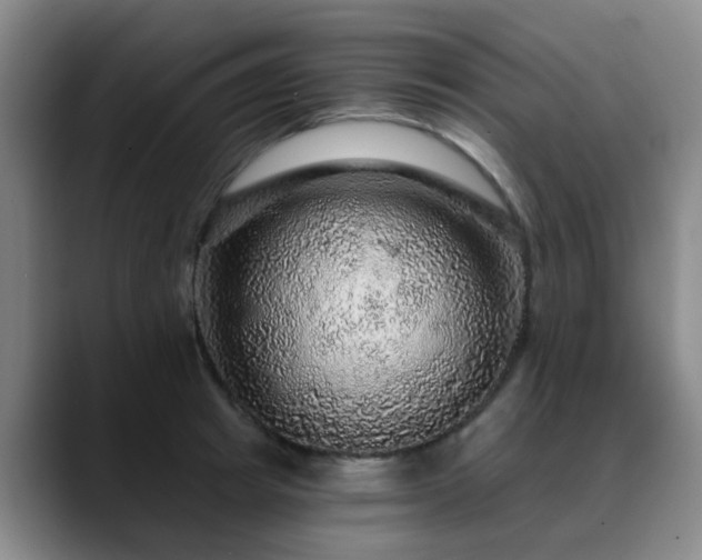 X0000088870849200706151752
