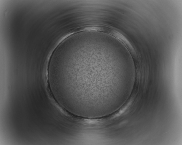 X0000088870852200706151752