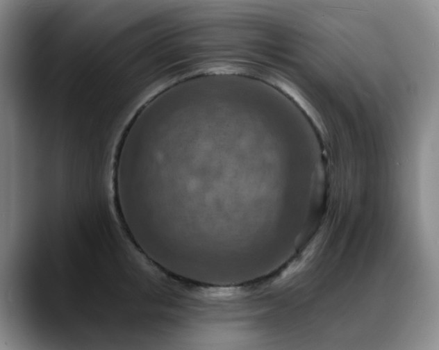 X0000088870853200706151752