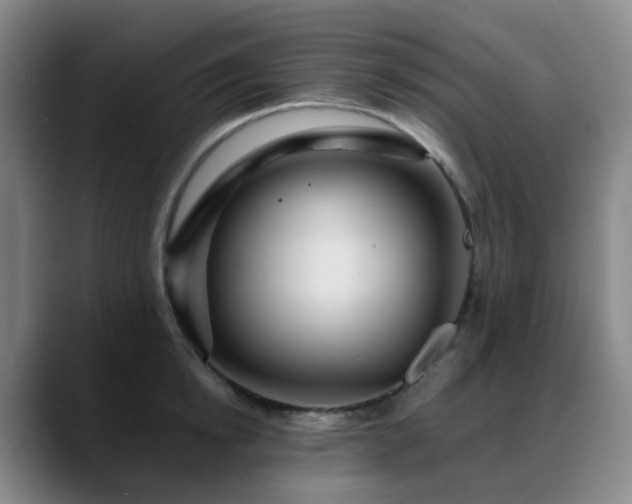 X0000088870854200706151752