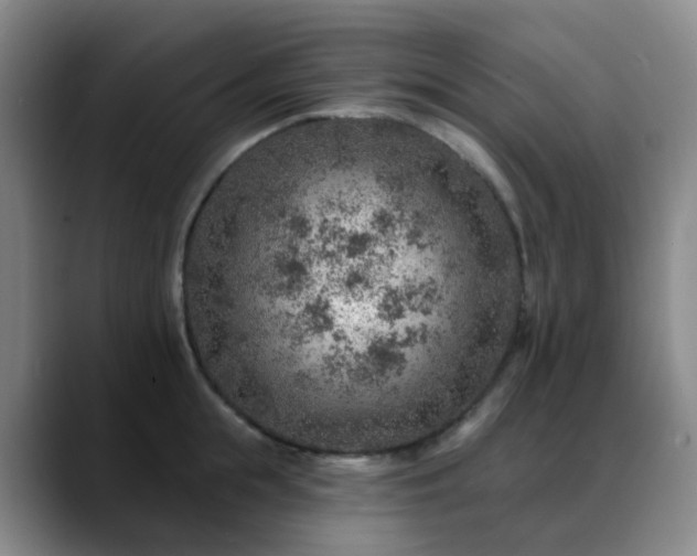 X0000088870855200706151752