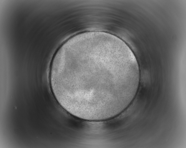 X0000088870856200706151752