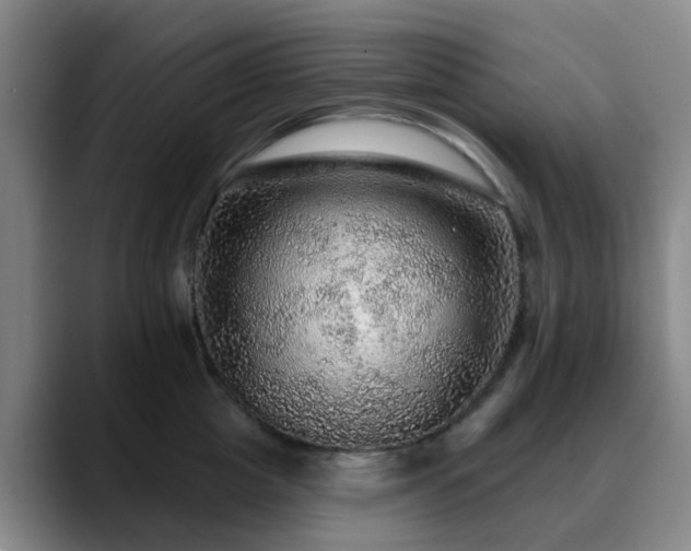 X0000088870857200706151752
