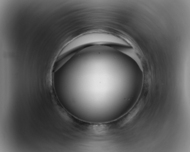 X0000088870858200706151752