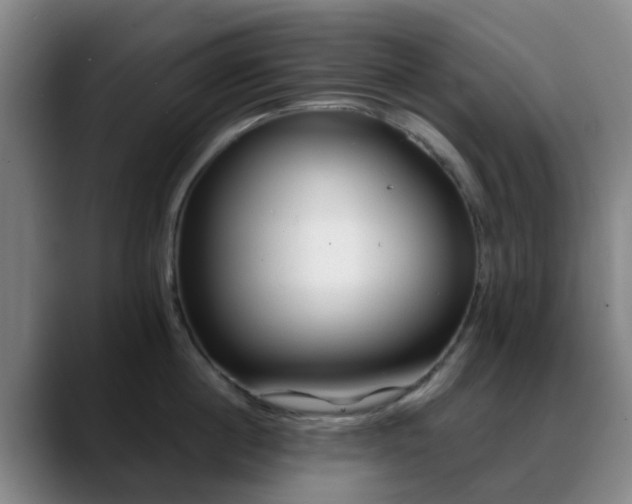 X0000088870860200706151752