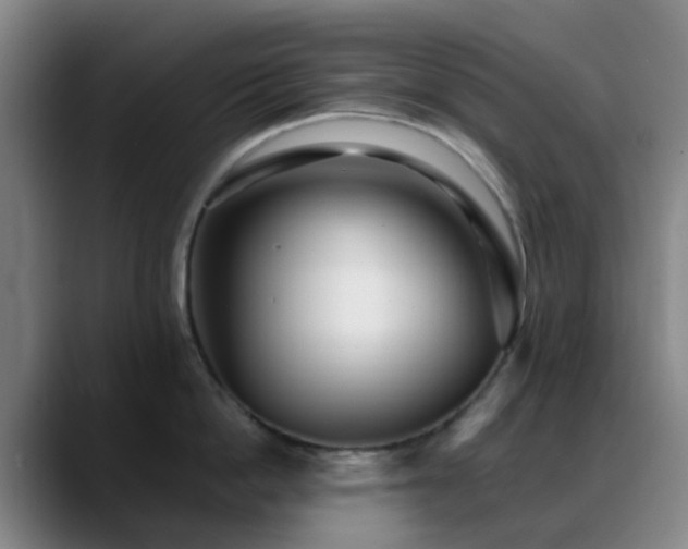 X0000088870862200706151752