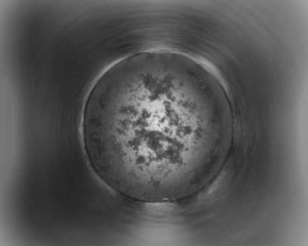 X0000088870863200706151752