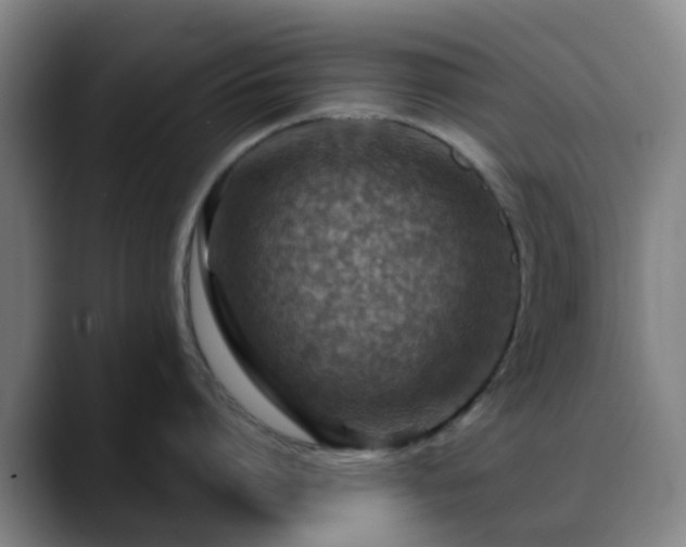 X0000088870864200706151752