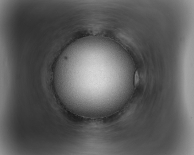 X0000088870865200706151752
