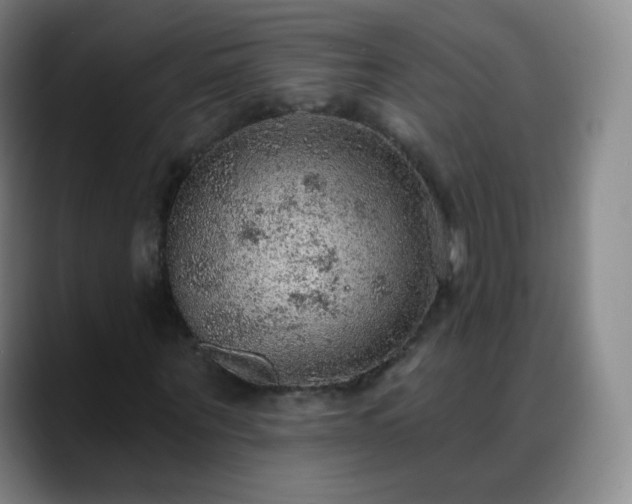 X0000088870867200706151752