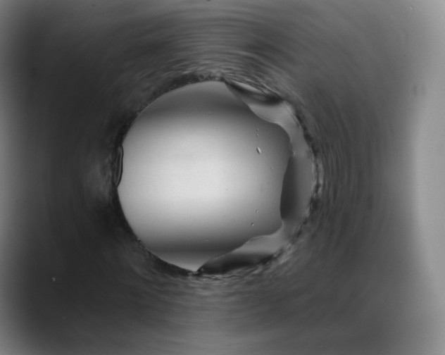 X0000088870868200706151752
